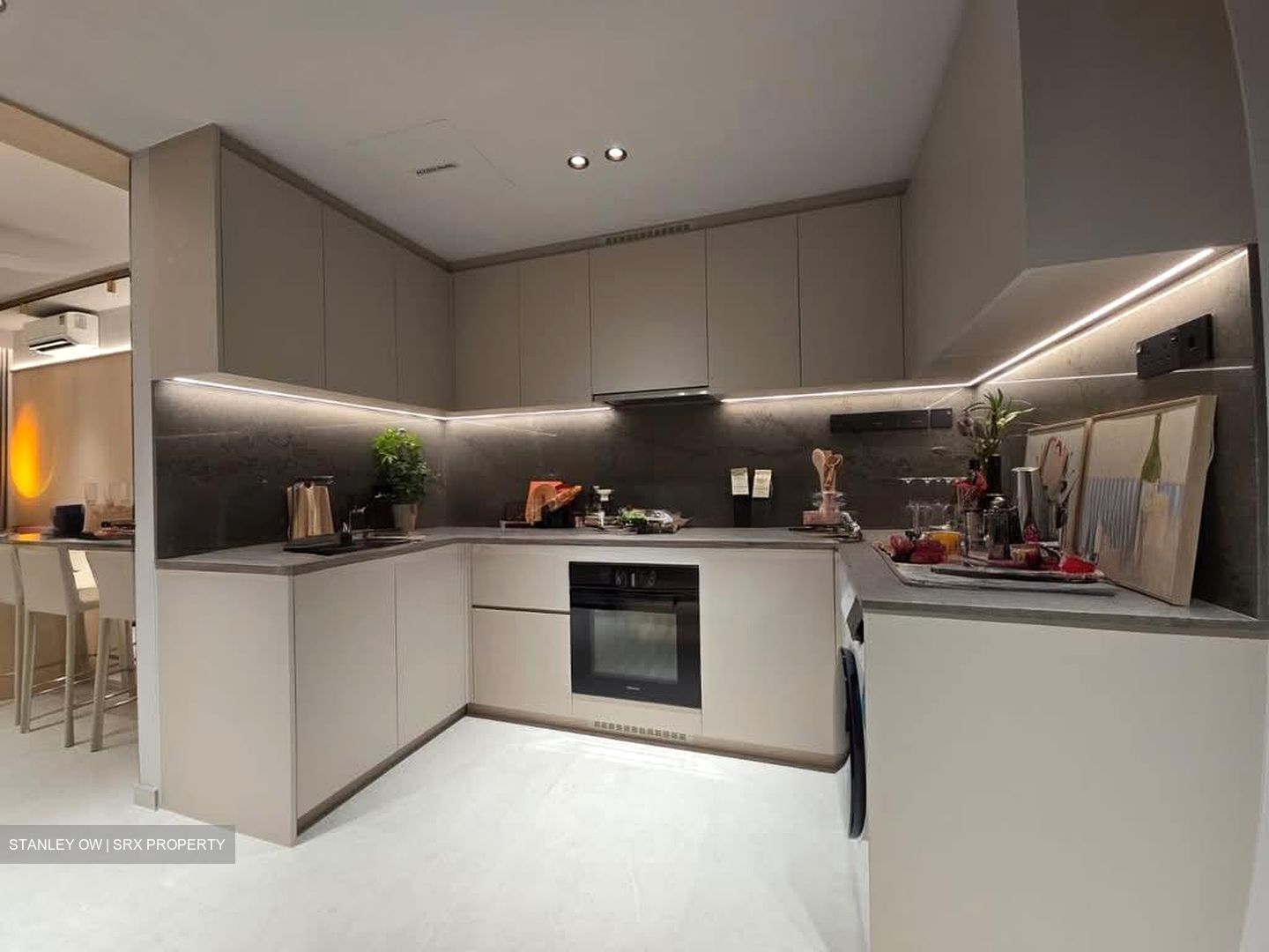 River Modern (D9), Apartment #527440421
